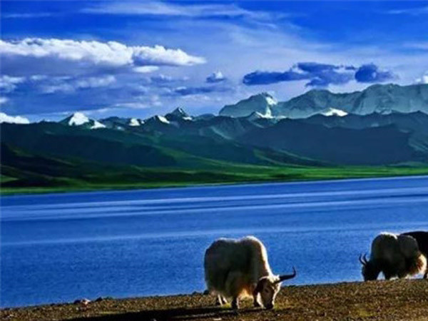 非洲十國(guó)考察團(tuán)蒞臨我公司考察訪(fǎng)問(wèn)