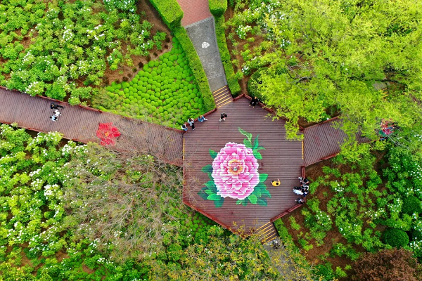 豫見高端，洛賞牡丹，錯過等一年