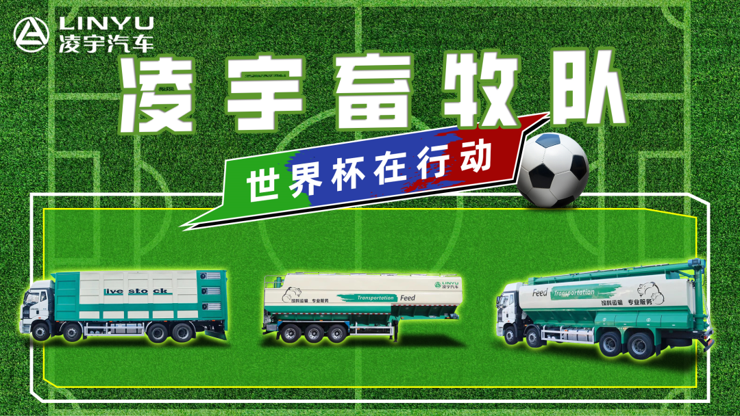 奪冠世界杯！你注意到這支球隊了嗎？